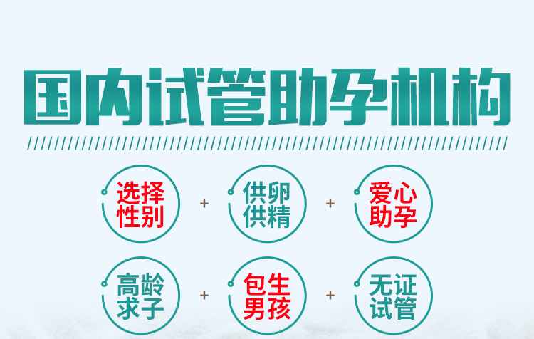 中国代孕公司